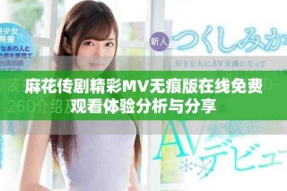 麻花传剧精彩MV无痕版在线免费观看体验分析与分享