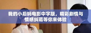我的小后妈电影中字版，精彩剧情与情感纠葛等你来体验