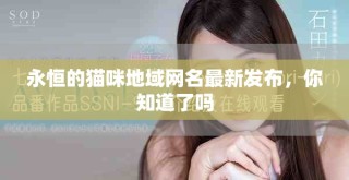 永恒的猫咪地域网名最新发布，你知道了吗