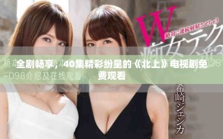全剧畅享，40集精彩纷呈的《北上》电视剧免费观看