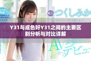 Y31与成色好Y31之间的主要区别分析与对比详解