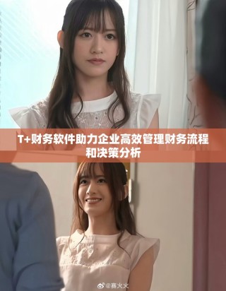 T+财务软件助力企业高效管理财务流程和决策分析