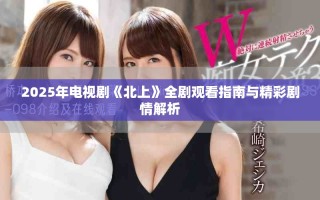 2025年电视剧《北上》全剧观看指南与精彩剧情解析