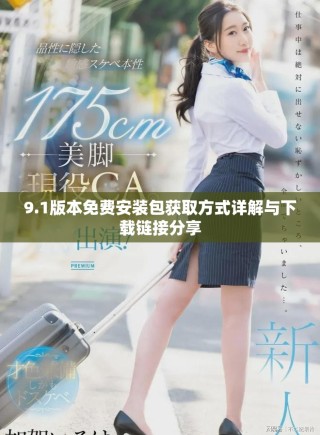 9.1版本免费安装包获取方式详解与下载链接分享