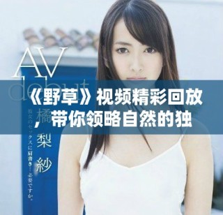 《野草》视频精彩回放，带你领略自然的独特魅力与生命力