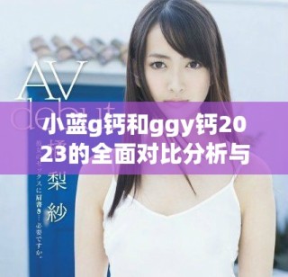 小蓝g钙和ggy钙2023的全面对比分析与应用指南