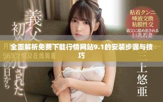 全面解析免费下载行情网站9.1的安装步骤与技巧