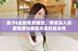 妻子6全剧免费播放，带你深入探索情感与家庭关系的复杂性