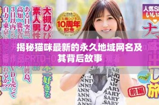 揭秘猫咪最新的永久地域网名及其背后故事