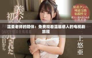 温柔老师的陪伴：免费观看温馨感人的电视剧旅程
