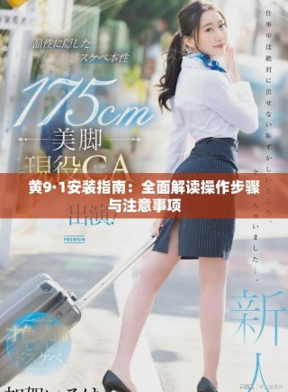 黄9·1安装指南：全面解读操作步骤与注意事项