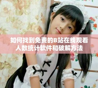 如何找到免费的B站在线观看人数统计软件和破解方法