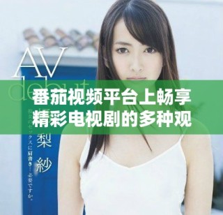 番茄视频平台上畅享精彩电视剧的多种观看方式与推荐技巧