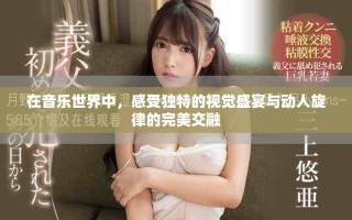 在音乐世界中，感受独特的视觉盛宴与动人旋律的完美交融
