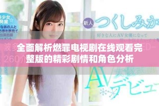 全面解析燃罪电视剧在线观看完整版的精彩剧情和角色分析