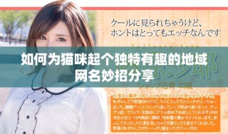 如何为猫咪起个独特有趣的地域网名妙招分享