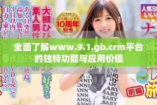 全面了解www.9.1.gb.crm平台的独特功能与应用价值