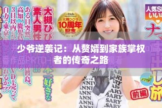 少爷逆袭记：从赘婿到家族掌权者的传奇之路