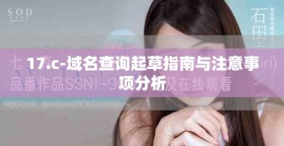 17.c-域名查询起草指南与注意事项分析