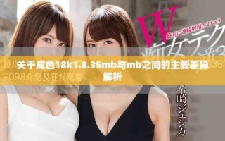 关于成色18k1.8.35mb与mb之间的主要差异解析