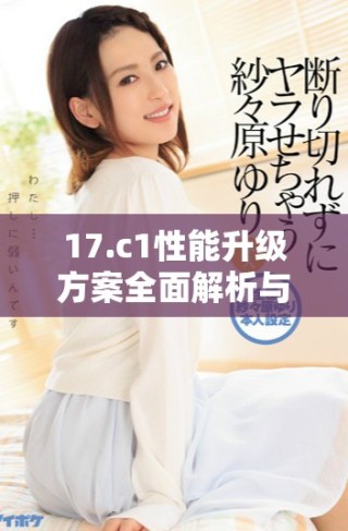 17.c1性能升级方案全面解析与应用实例分享