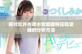 探讨红外光谱中官能团特征和波峰的分析方法