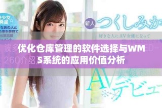 优化仓库管理的软件选择与WMS系统的应用价值分析