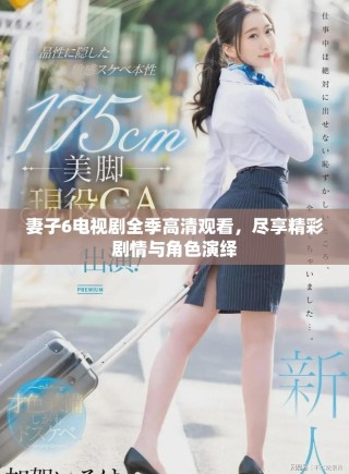 妻子6电视剧全季高清观看，尽享精彩剧情与角色演绎