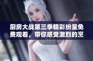 厨房大战第三季精彩纷呈免费观看，带你感受激烈的烹饪对决！