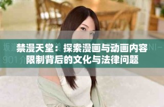 禁漫天堂：探索漫画与动画内容限制背后的文化与法律问题
