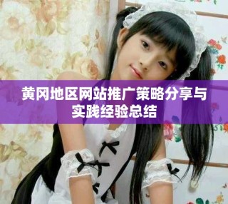 黄冈地区网站推广策略分享与实践经验总结